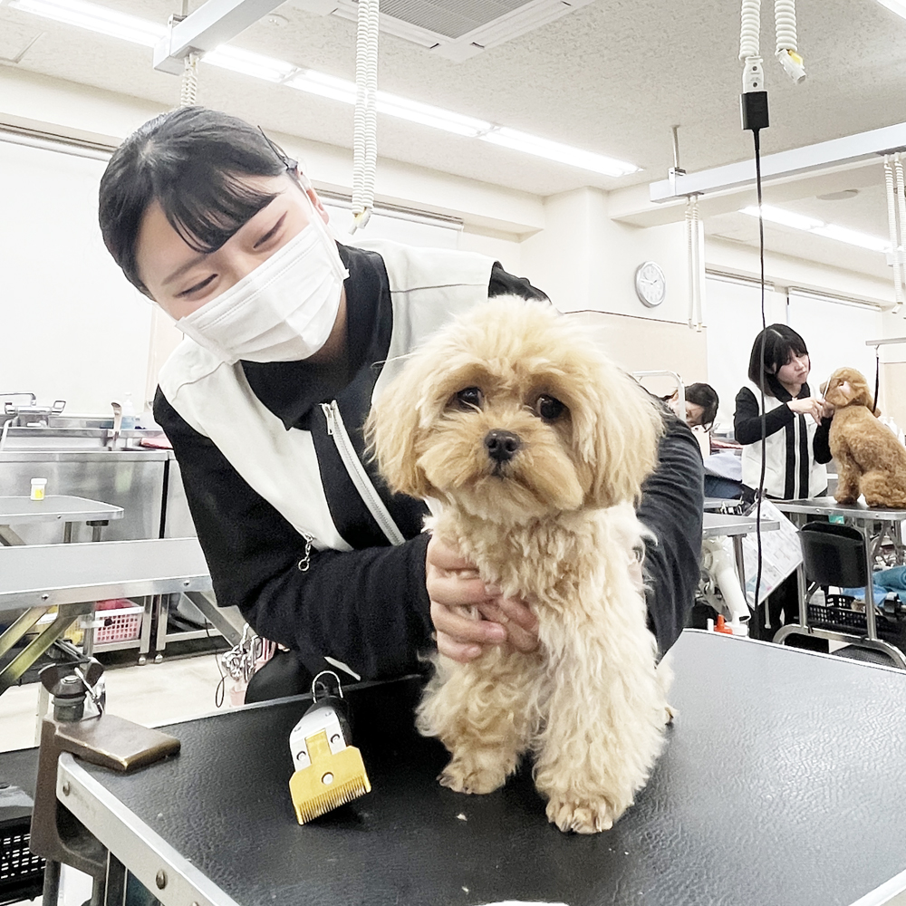 スキルアッププログラム♪